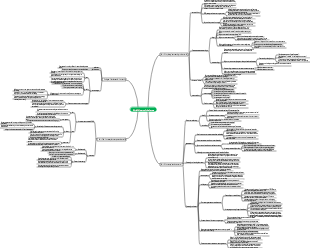 A Brief History of the Future mind map
