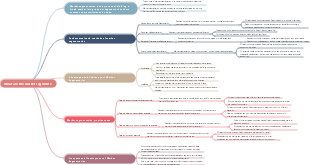 What are the market segments