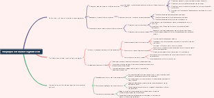 The purpose of market segmentation