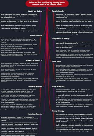 What market positioning strategies do companies have to choose from