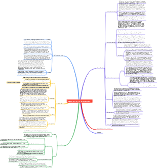 Medical beauty project classification