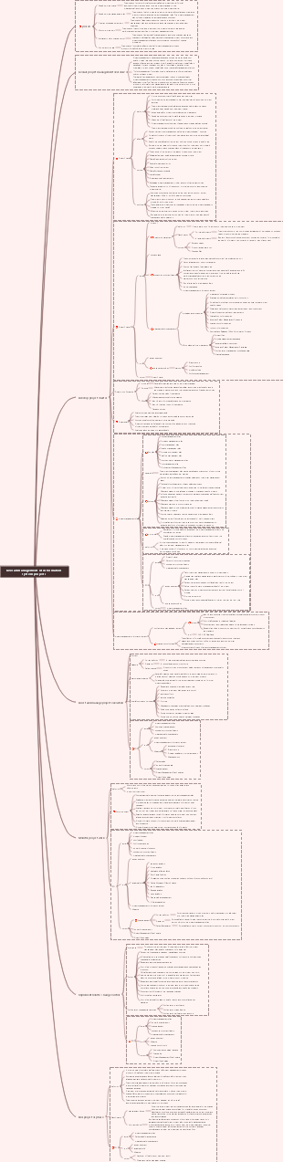 Overall management of information system projects