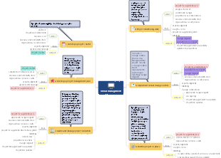 Information System Project Manager Chapter 4 Overall Project Management