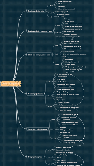 Information Systems Management Holistic Management