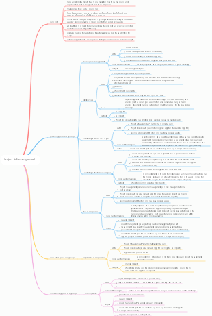 Project risk management