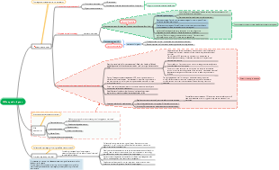 NSI expansion layout mind map