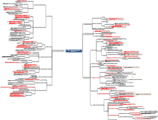 Chapter 1 Function Limit Continuity Knowledge Points