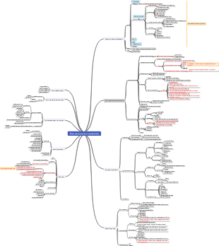 Architectural Decoration Mind Map