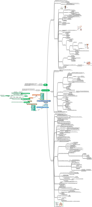 Cardiovascular System