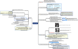 Internal Medicine-Bronchiectasis