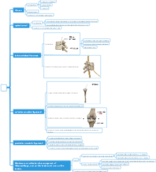 Medicine-Bone Mind Map