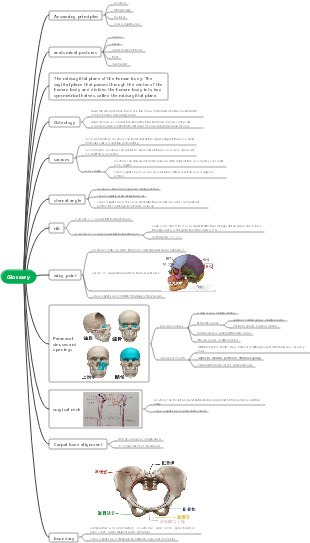 Glossary of anatomy parts