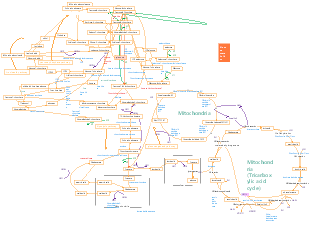 Biochemistry-sugar metabolism mind map