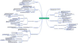 Immune system and immune response