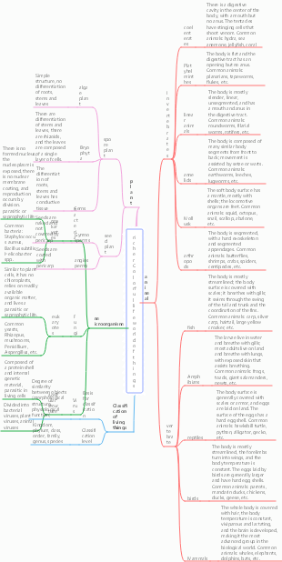 Biology-the colorful biological world