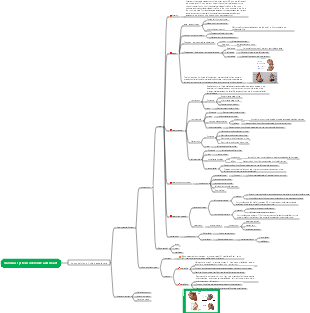 Medicine - Vascular System Overview and Heart