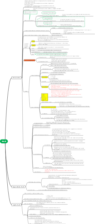 Medicine-Shock Mind Map