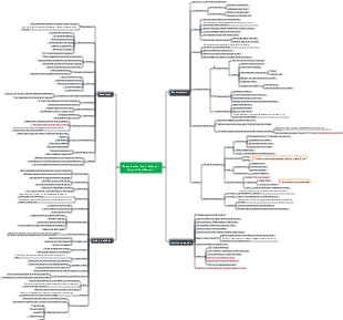 Examination Brain Science