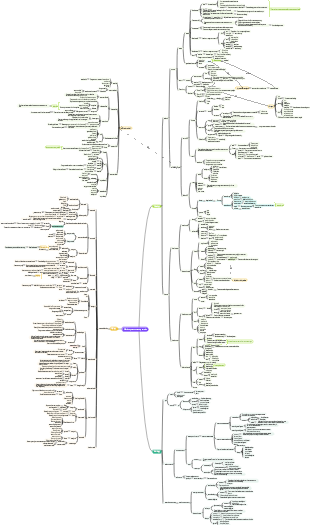 System Anatomy Motor System Memory Edition