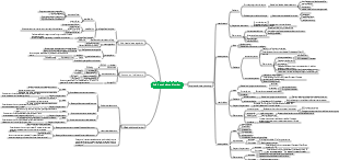 Pathophysiology-Acid-base balance disorders mind map