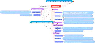 Structure of company