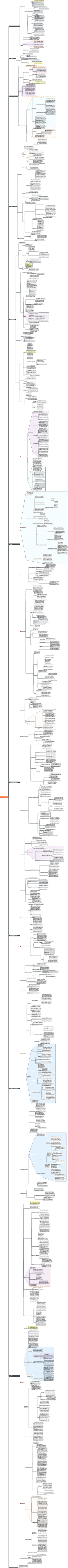 Information Management-Introduction to Archives