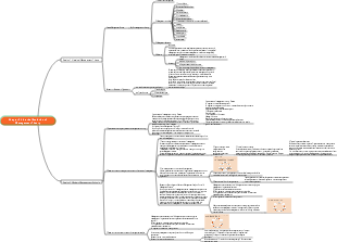 University Management-Historical Evolution of Management Theory