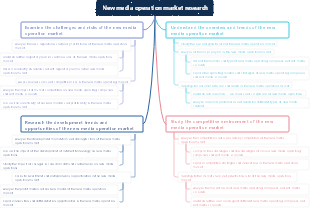 New media operation market research