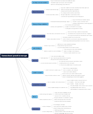 Overseas brand promotion manager