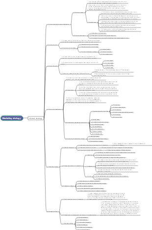 Product Strategy