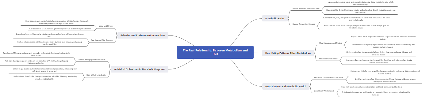Metabolism and Diet Relationship Diagram