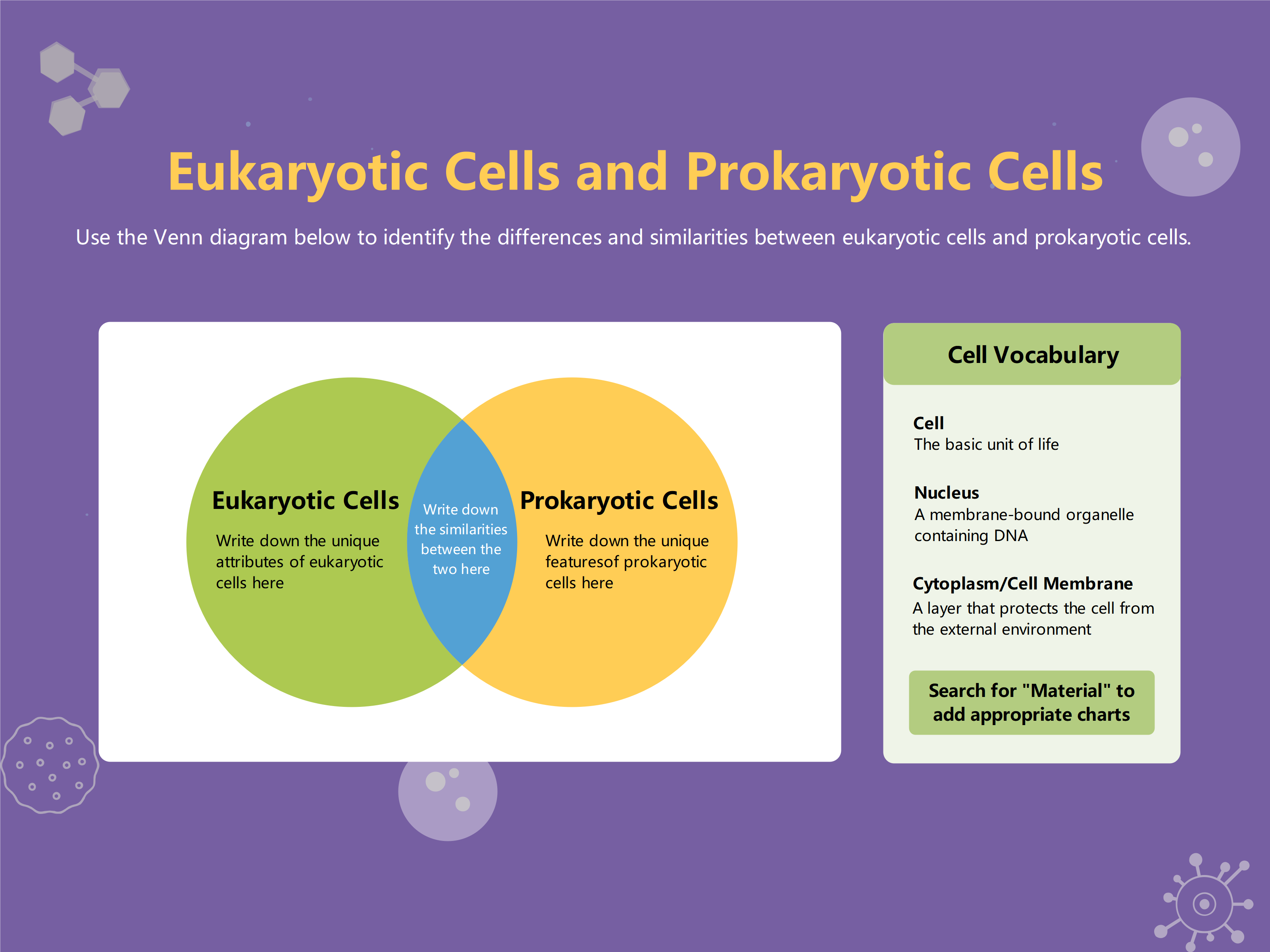 Eukaryotic vs Prokaryotic Cells Venn Diagram