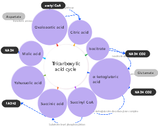 Tricarboxylic acid cycle