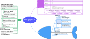 Function in the first grade of high school