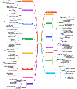 Differentiated competitive strategy choices for small and medium-sized enterprises