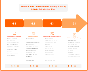 External Audit Coordination Weekly Meeting & Data Submission Plan