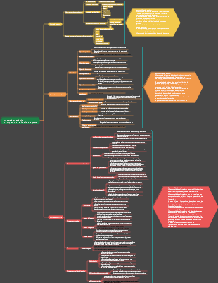 Interprétation de la structure organisationnelle de l’entreprise et des fonctions professionnelles