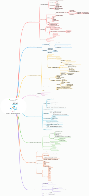 stratégies d'apprentissage holistiques
