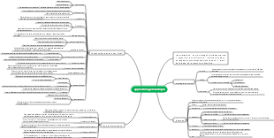 apprentissage holistique