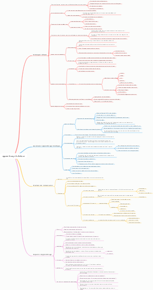 apprentissage holistique