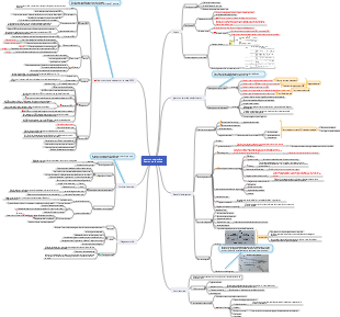 Carte mentale de gestion du périmètre