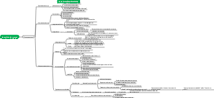 Classe de première année - Carte des activités du projet Le secret des dents
