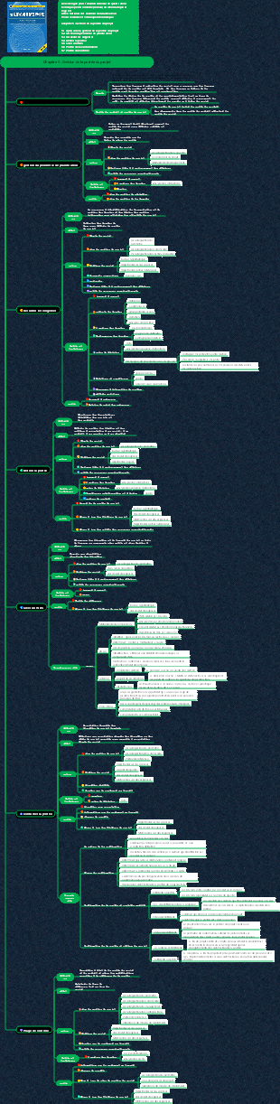 Système de connaissances du chef de projet système d'information (Chapitre 5 Gestion du périmètre du projet)