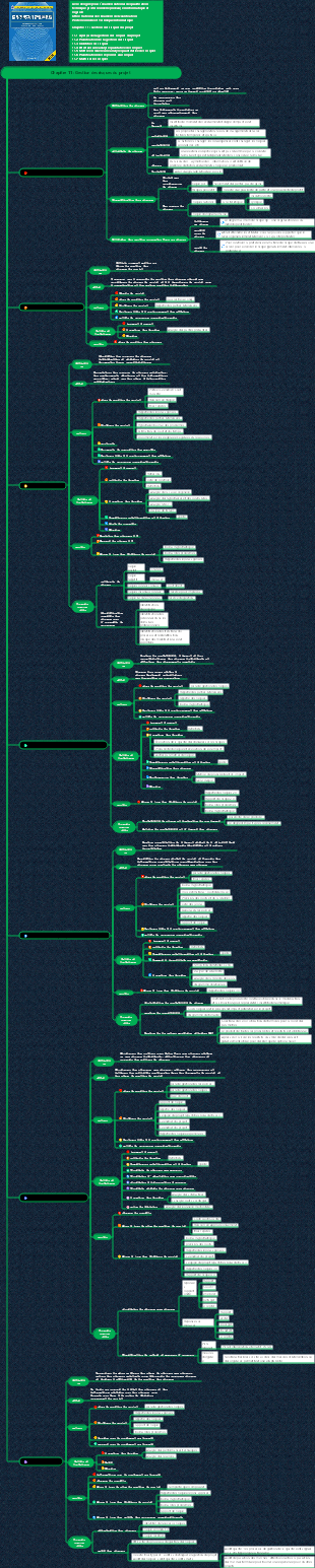 Système de connaissances du chef de projet système d'information (Chapitre 11 Gestion des risques du projet)