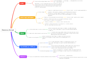 Le Pousse-pousse: Xiangzi le chameau