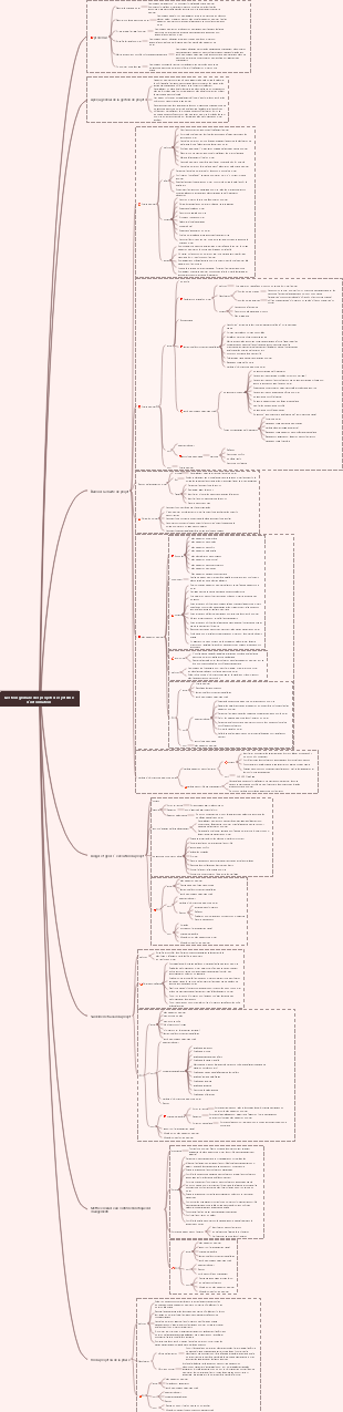 Gestion globale des projets de système d'information