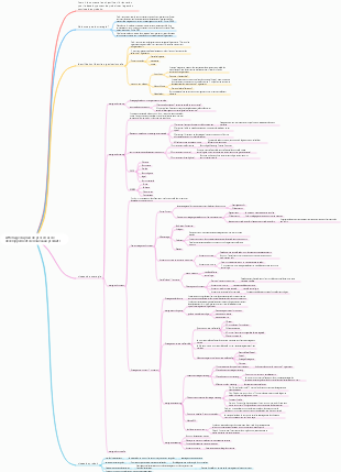 Affichage du plan de processus de développement de nouveaux produits