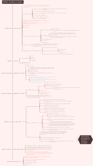Gestion des risques du projet