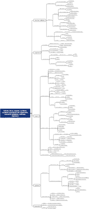 Cellules, tissus, organes, systèmes, systèmes circulatoires des organismes, immunité (antigènes, anticorps, réponses)