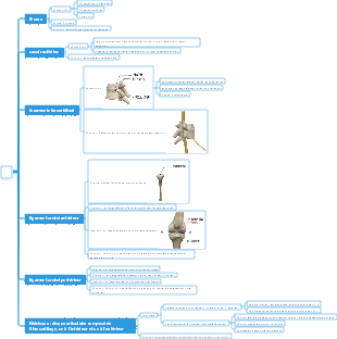 Carte mentale médecine-os